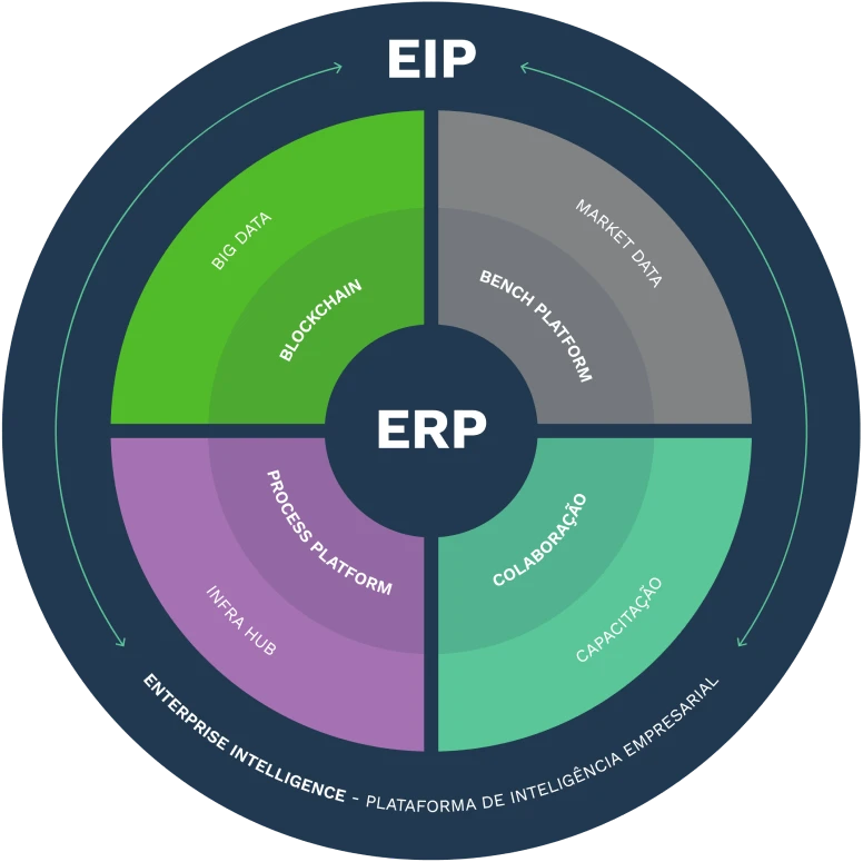 Mandala ERP ao EIP