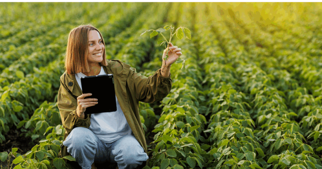 Profissional do agronegócio analisando planta em lavoura com tablet na mão, representando tecnologia e gestão no campo.